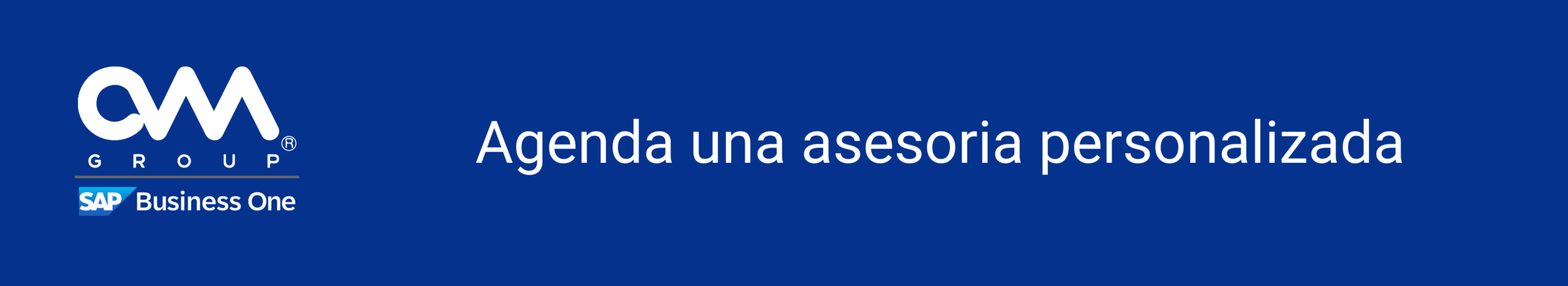 Demo SAP Business One 2026